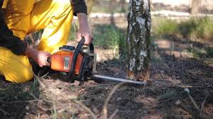 Best Lawn Maintenance Plans  in Dublin, GA