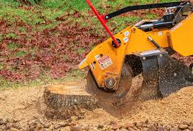 Best Leaf Removal  in Dublin, GA